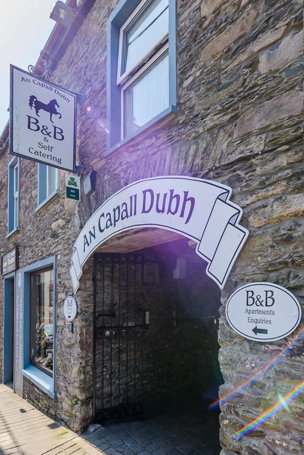 Отели типа «постель и завтрак» An Capall Dubh B&B Dingle Дингл-27