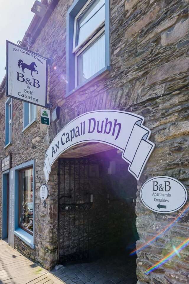 Отели типа «постель и завтрак» An Capall Dubh B&B Dingle Дингл-26
